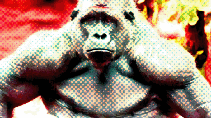 gorilla-terminator