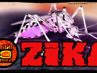 Zika Virus More Troublesome